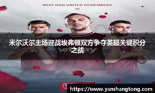 米尔沃尔主场迎战埃弗顿双方争夺英超关键积分之战